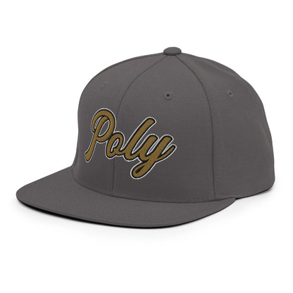 Snapback Hat | Purdue Polytechnic High School