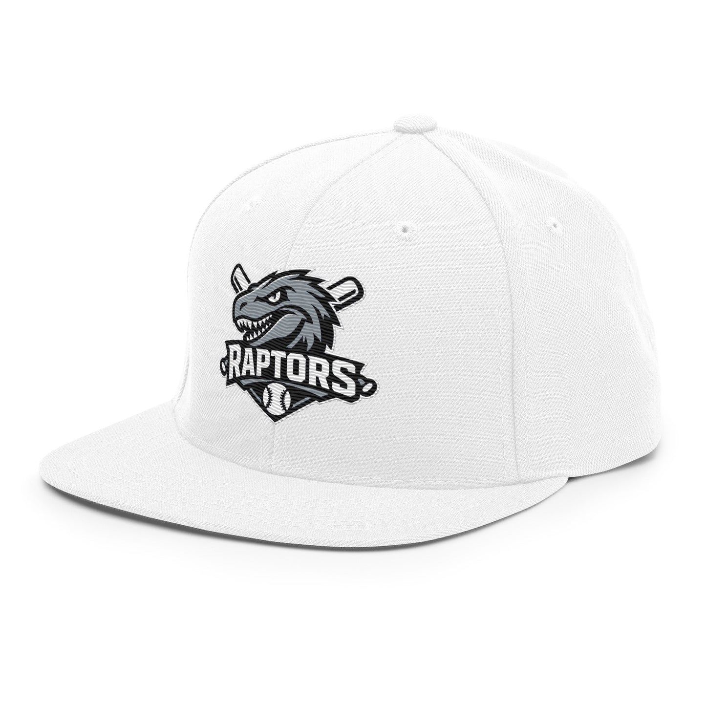 Snapback Hat | Raptors | Patch Logo