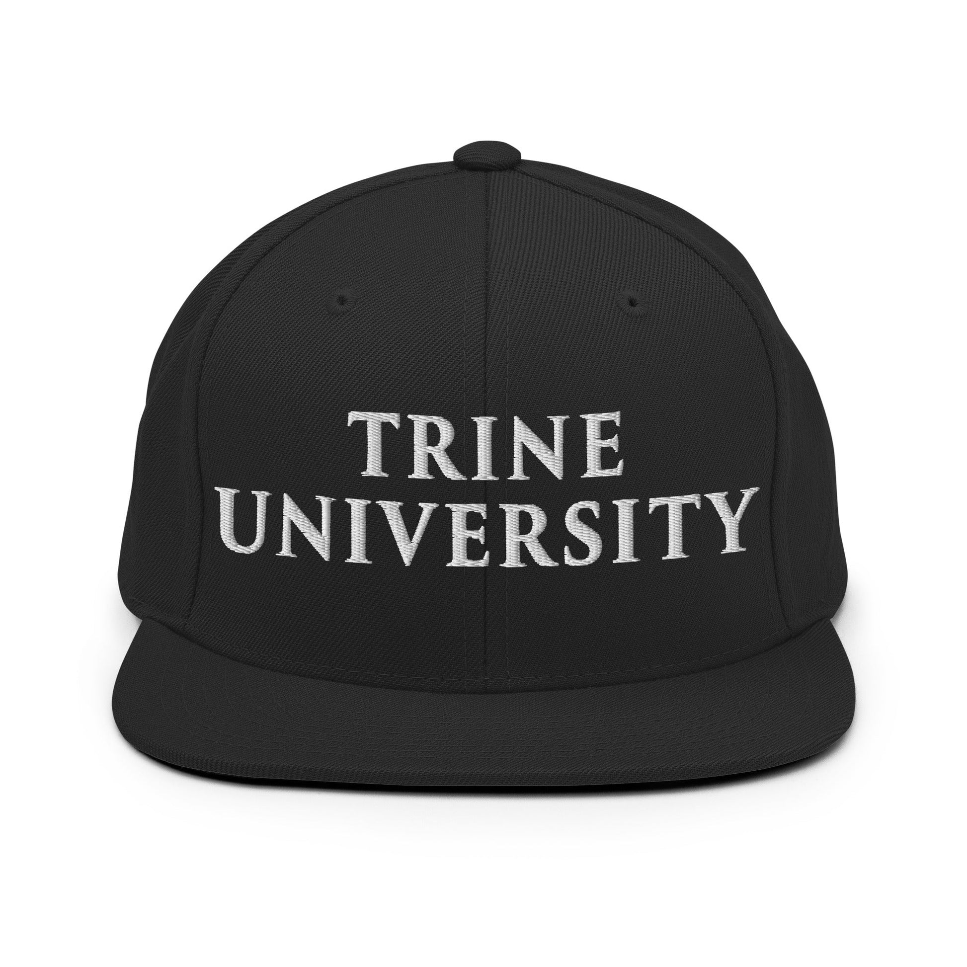 Snapback Hat | Trine PA program | Modern Script Logo