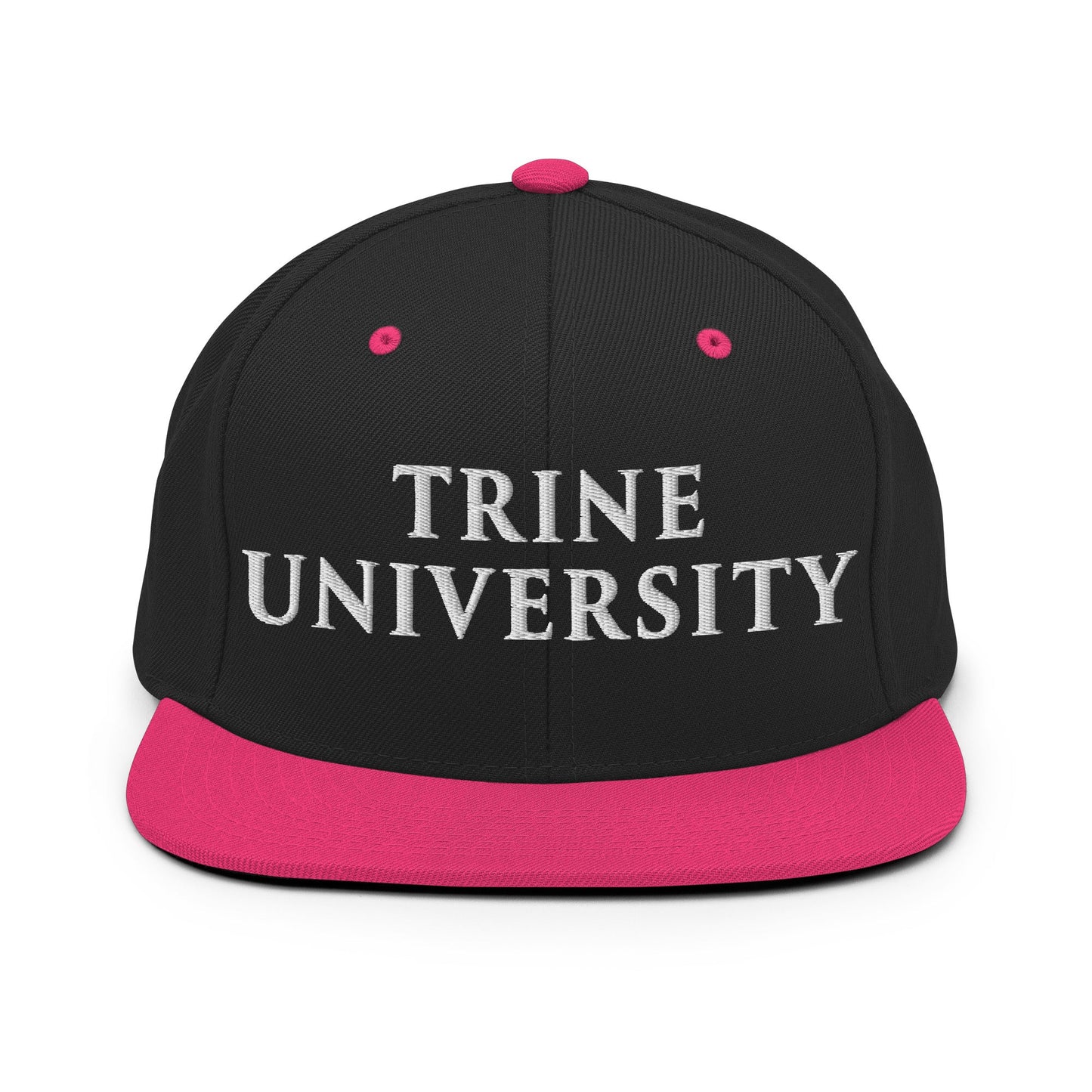 Snapback Hat | Trine PA program | Modern Script Logo