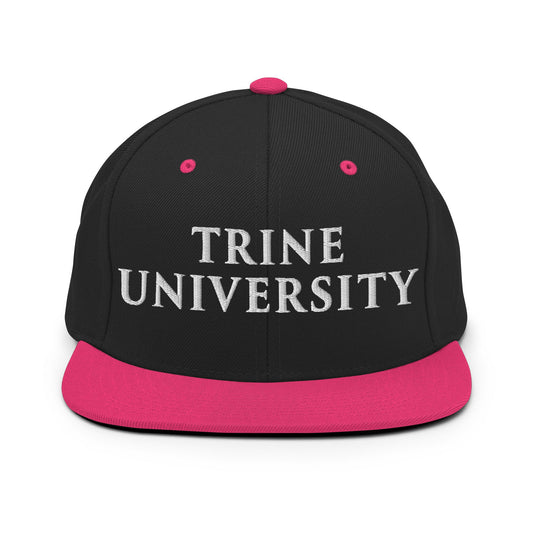 Snapback Hat | Trine PA program | Modern Script Logo