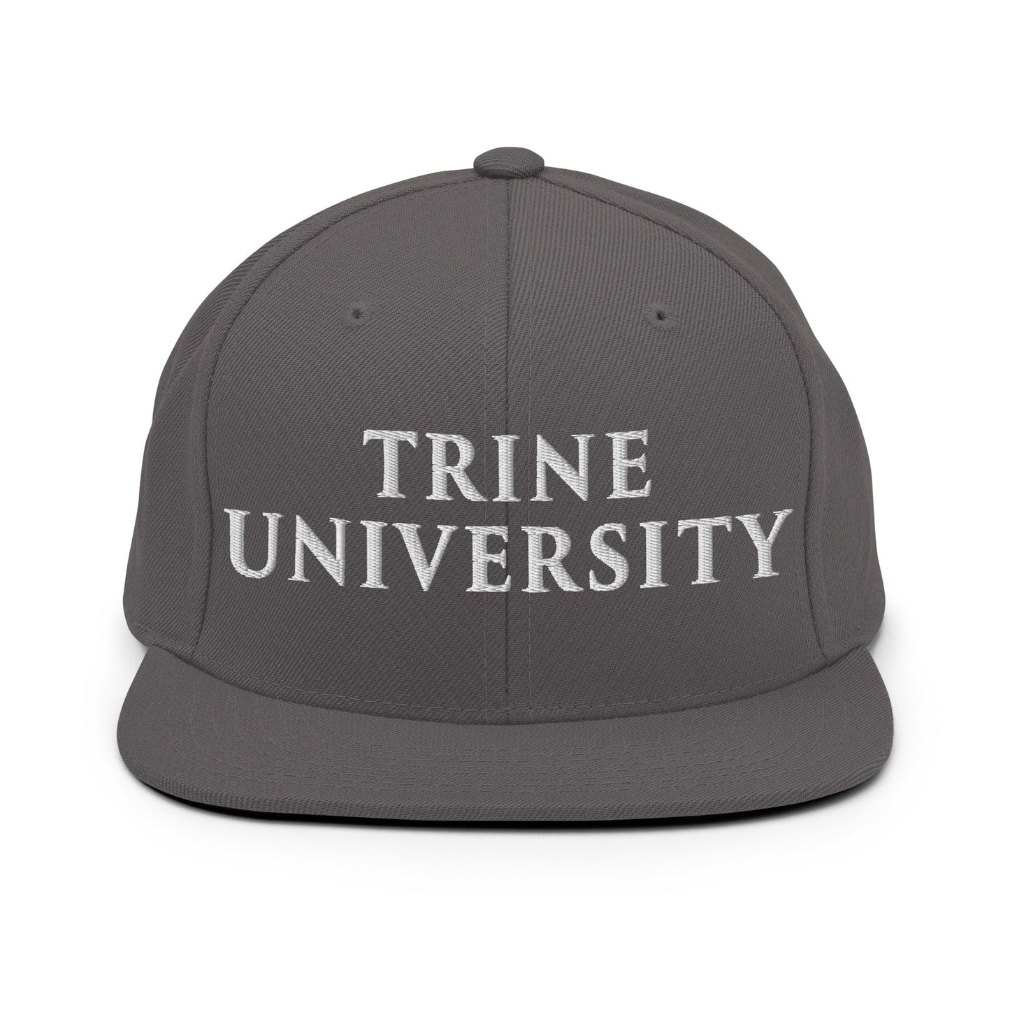 Snapback Hat | Trine PA program | Modern Script Logo
