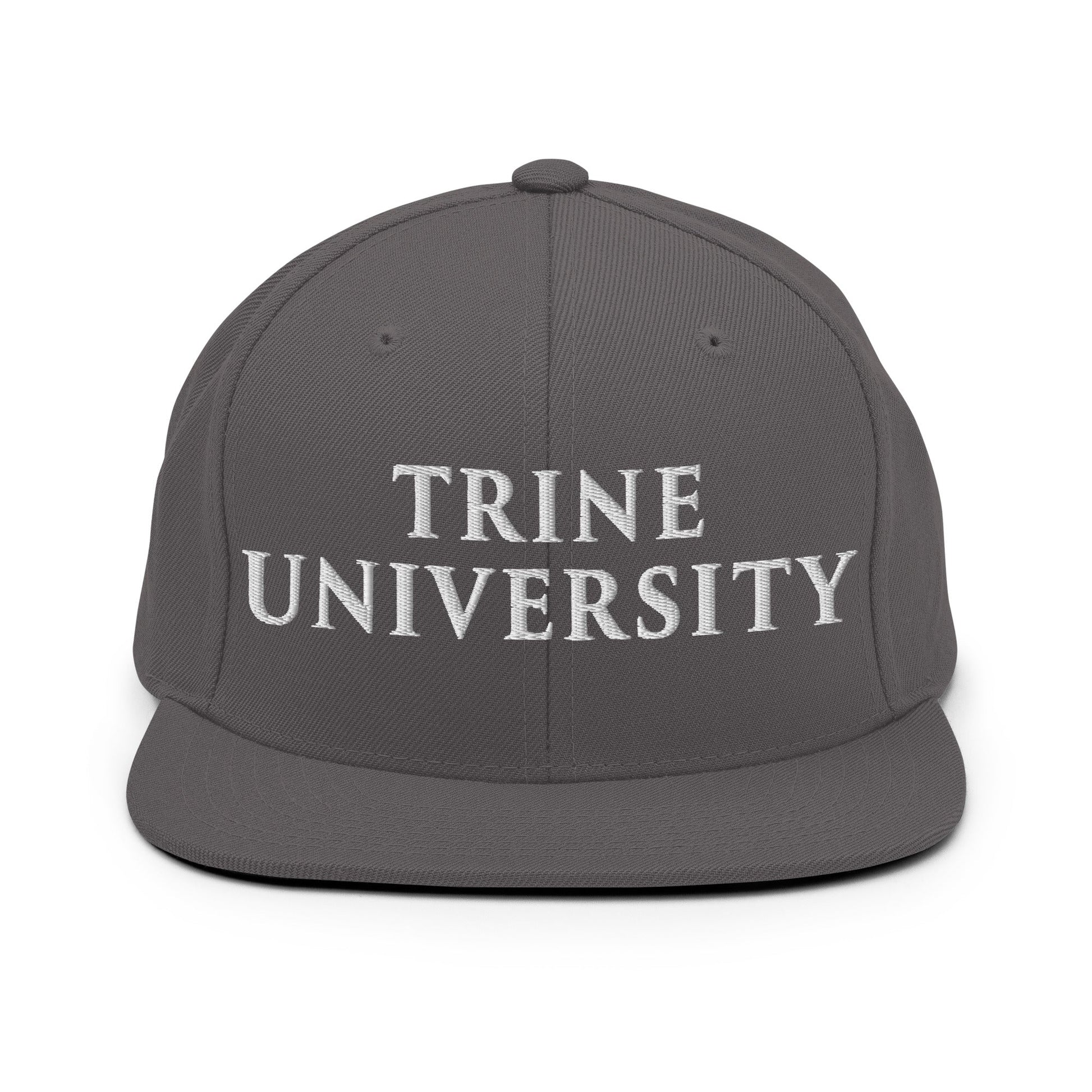Snapback Hat | Trine PA program | Modern Script Logo