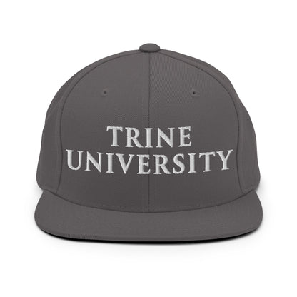 Snapback Hat | Trine PA program | Modern Script Logo