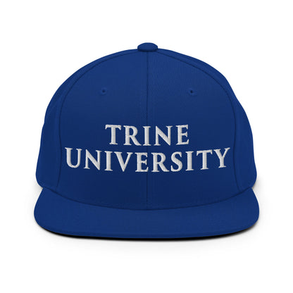 Snapback Hat | Trine PA program | Modern Script Logo