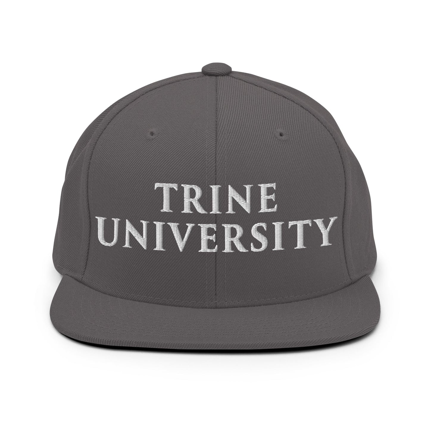 Snapback Hat | Trine PA program | Modern Script Logo