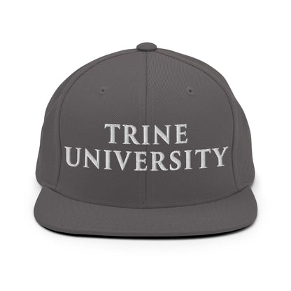 Snapback Hat | Trine PA program | Modern Script Logo