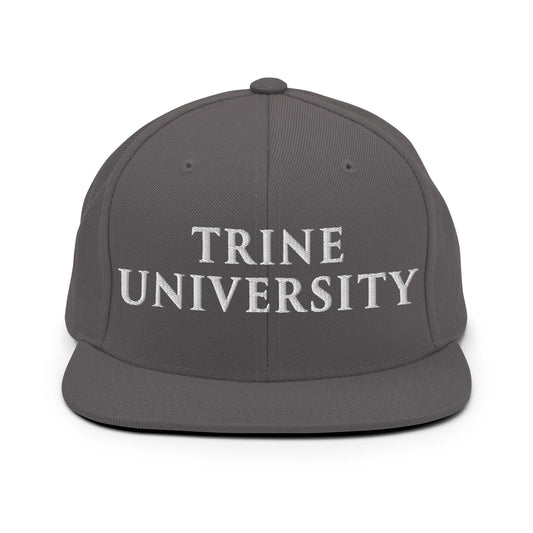 Snapback Hat | Trine PA program | Modern Script Logo