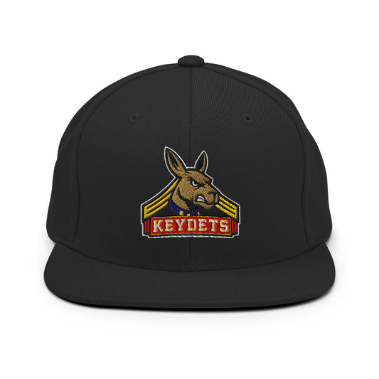 Snapback Hat | Virginia Military Institute Rugby
