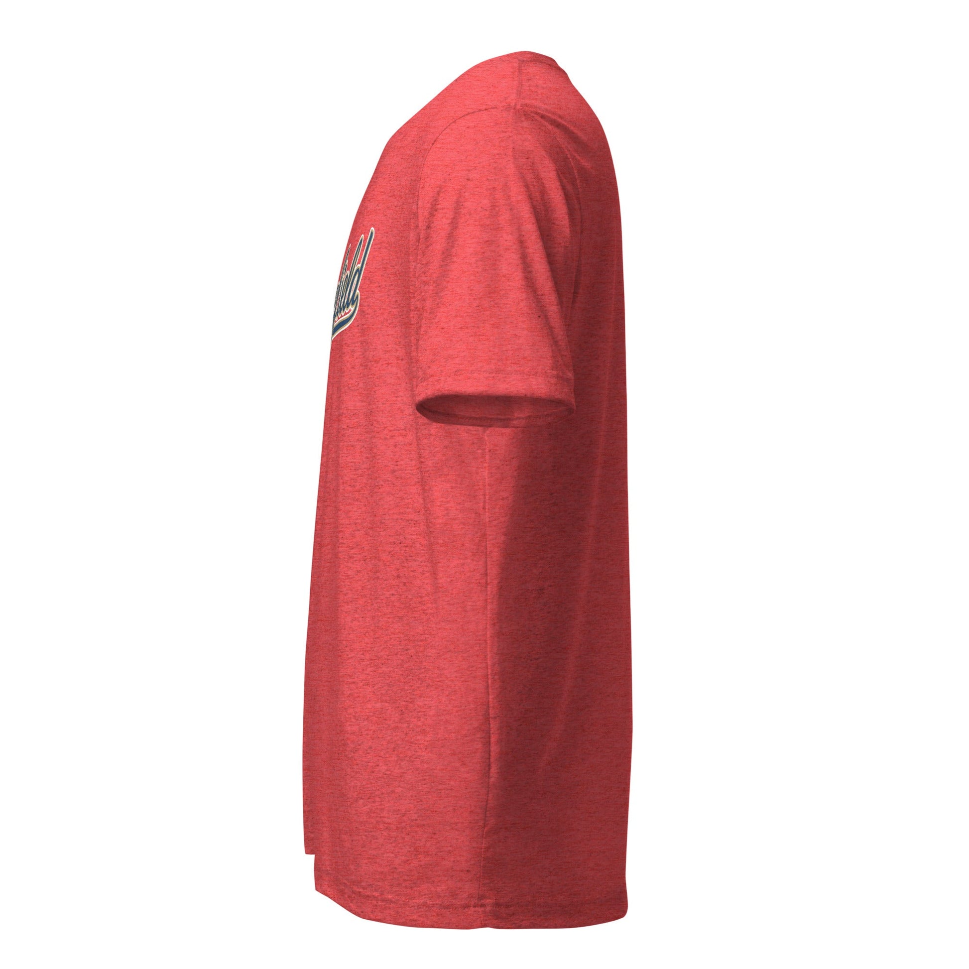 Tri - Blend T Shirt - Bella + Canvas 3413