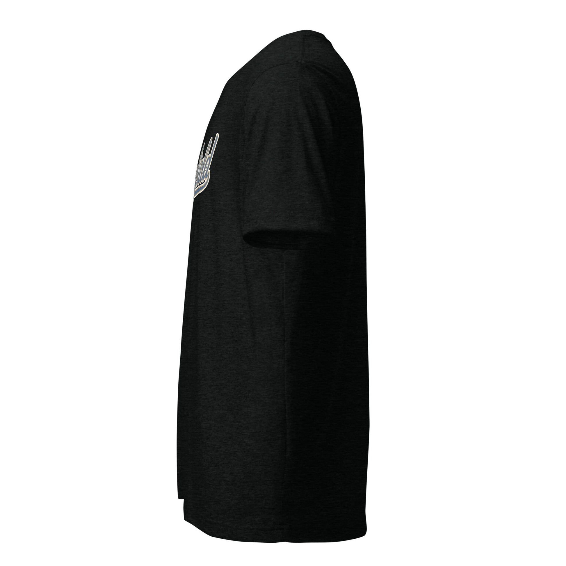 Tri - Blend T Shirt - Bella + Canvas 3413