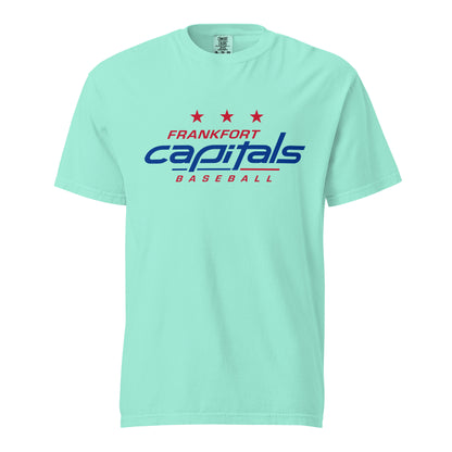 Signature | Comfort Colors T-Shirt | FFYSA | Frankfort Vanguard Logo