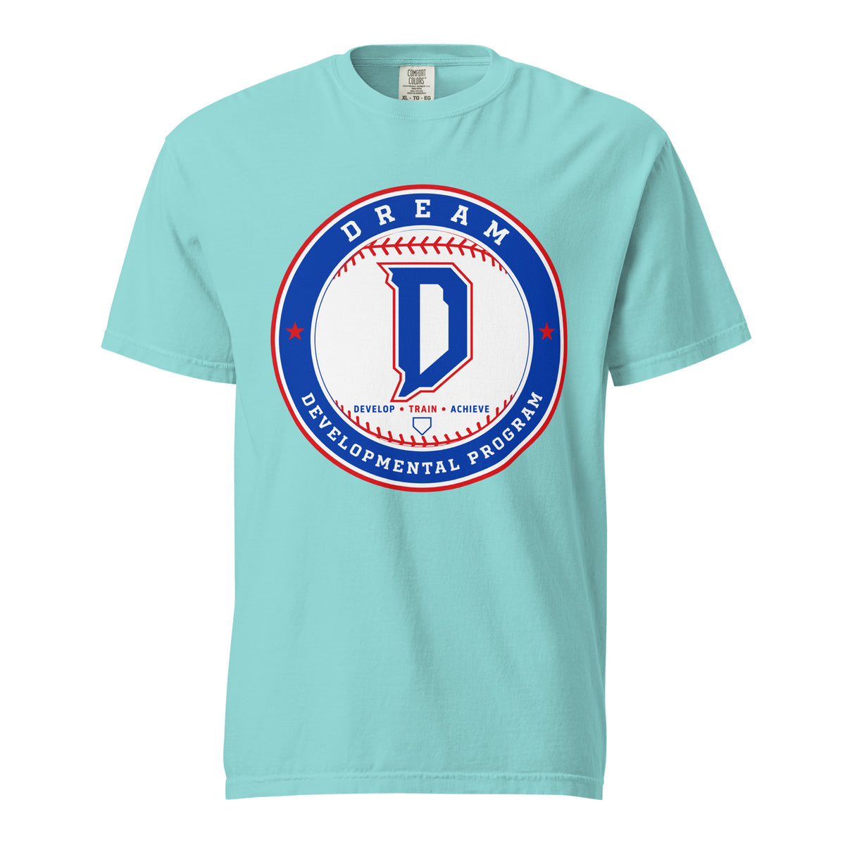 Signature | Comfort Colors T-Shirt | Dream Developmental Program | Badge Logo