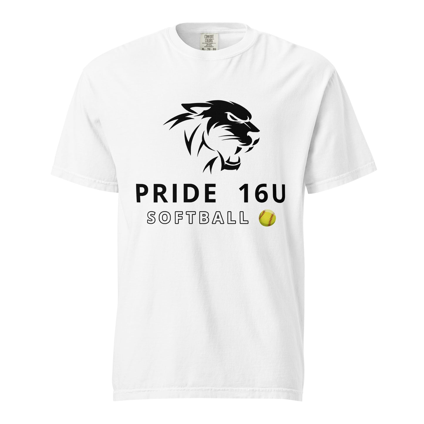 Signature | Comfort Colors T-Shirt | NNY Pride Softball | Emblem Logo