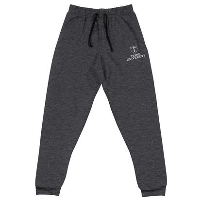 Performance | Embroidered Joggers | Trine PA program | Emblem Logo