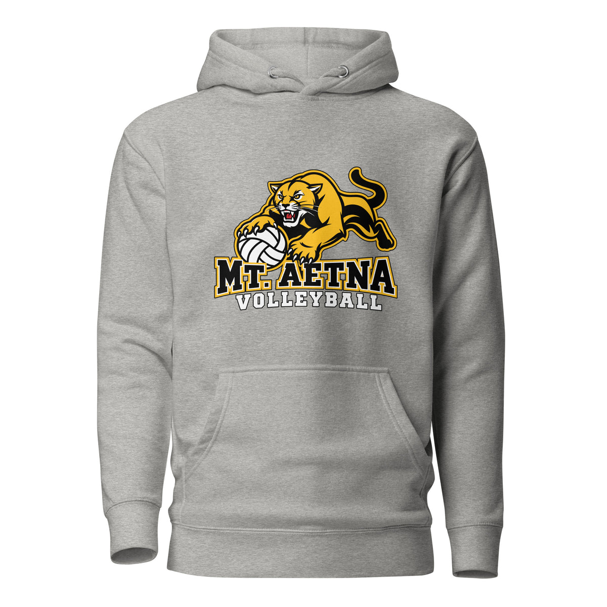 Performance | Hoodie | Mt. Aetna Adventist School | Volleyball Apex Logo