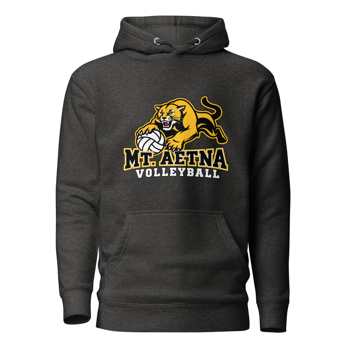 Performance | Hoodie | Mt. Aetna Adventist School | Volleyball Apex Logo