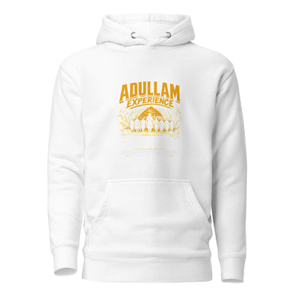 Performance | Hoodie | Breakthrough House International Ministries | Emblem Logo