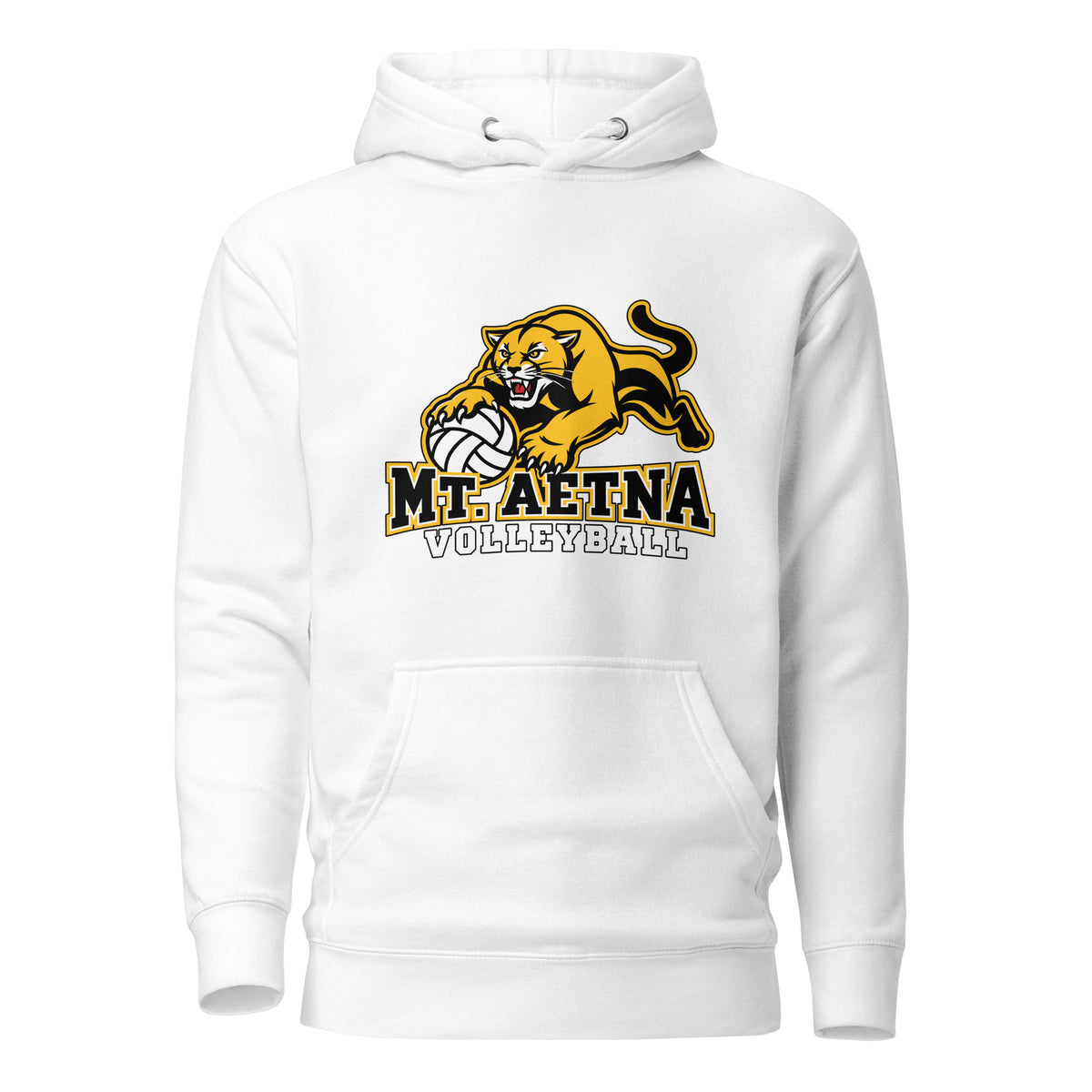 Performance | Hoodie | Mt. Aetna Adventist School | Volleyball Apex Logo