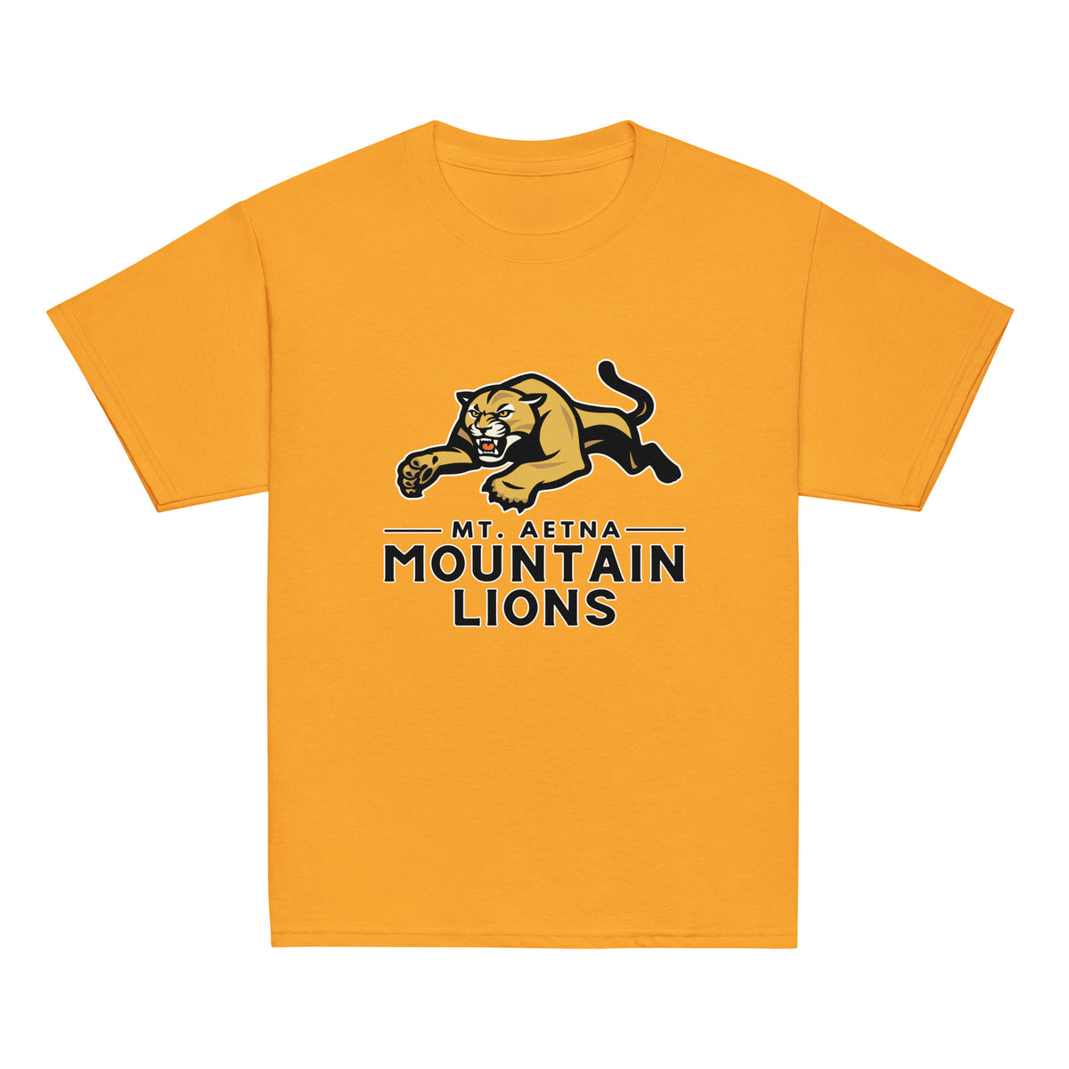 Classic | Youth T Shirt | Mt. Aetna Adventist School | Emblem Logo