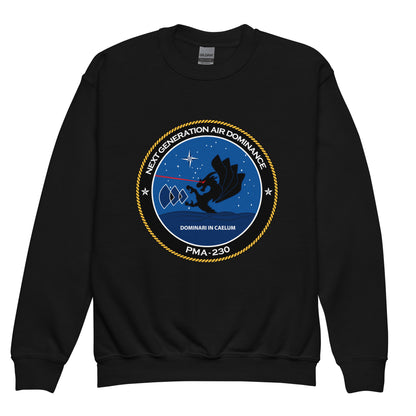 Classic | Youth Sweatshirt | Next Generation Air Dominance | Badge Logo