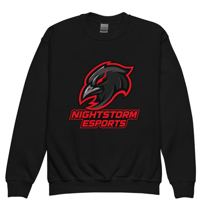 Classic | Youth Sweatshirt | NightStorm Esports | Crest Logo