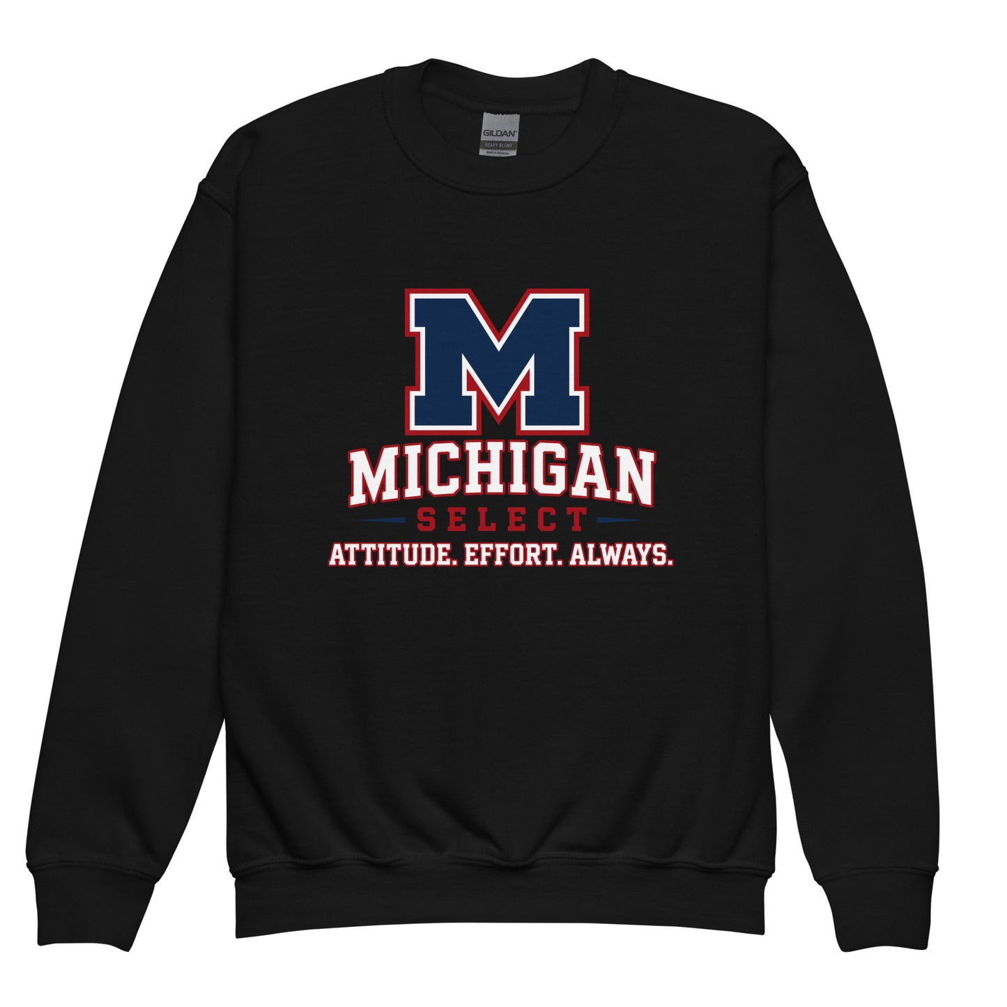 Classic | Youth Sweatshirt | Michigan Select Baseball | Crest Logo