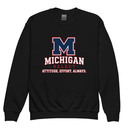 Classic | Youth Sweatshirt | Michigan Select Baseball | Crest Logo