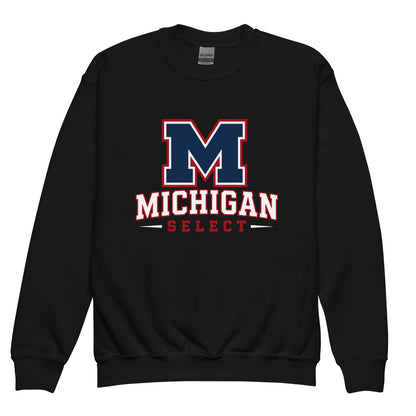 Classic | Youth Sweatshirt | Michigan Select Baseball | Emblem Logo