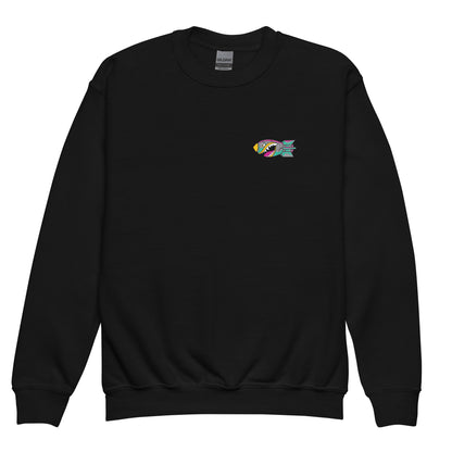 Classic | Youth Sweatshirt | Buffalo Bomb Squad 12u Softball | Icon Logo