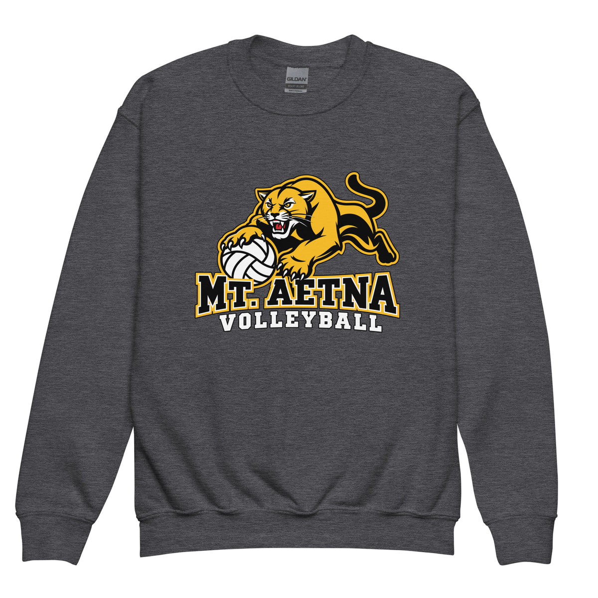 Classic | Youth Sweatshirt | Mt. Aetna Adventist School | Volleyball Apex Logo