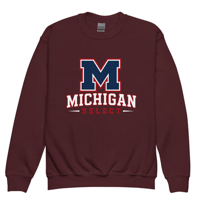 Classic | Youth Sweatshirt | Michigan Select Baseball | Emblem Logo