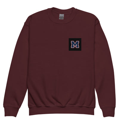 Classic | Youth Sweatshirt | Michigan Select Baseball | M Lettermark Logo