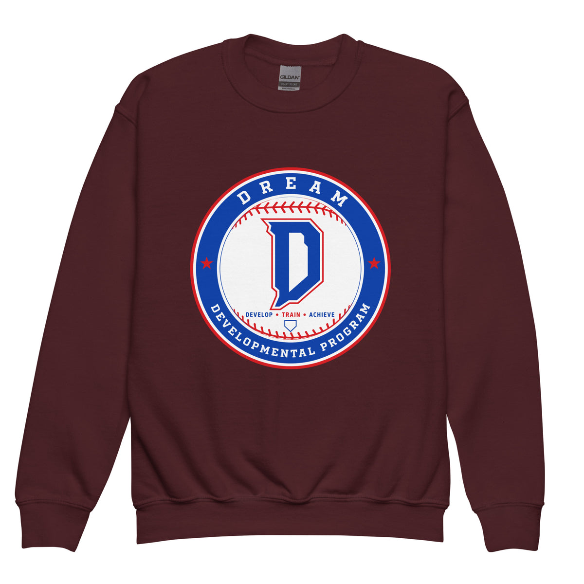 Classic | Youth Sweatshirt | Dream Developmental Program | Badge Logo