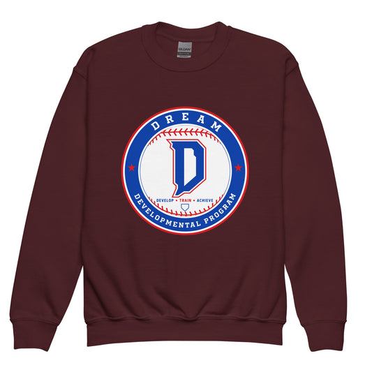 Classic | Youth Sweatshirt | Dream Developmental Program | Badge Logo