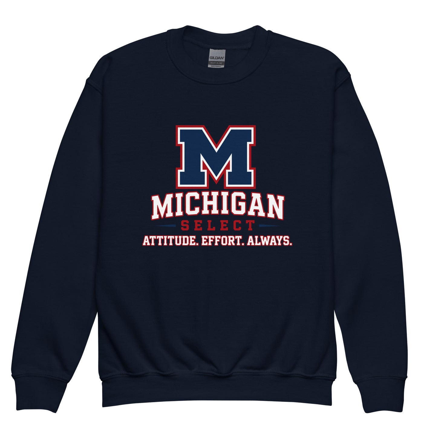 Classic | Youth Sweatshirt | Michigan Select Baseball | Crest Logo