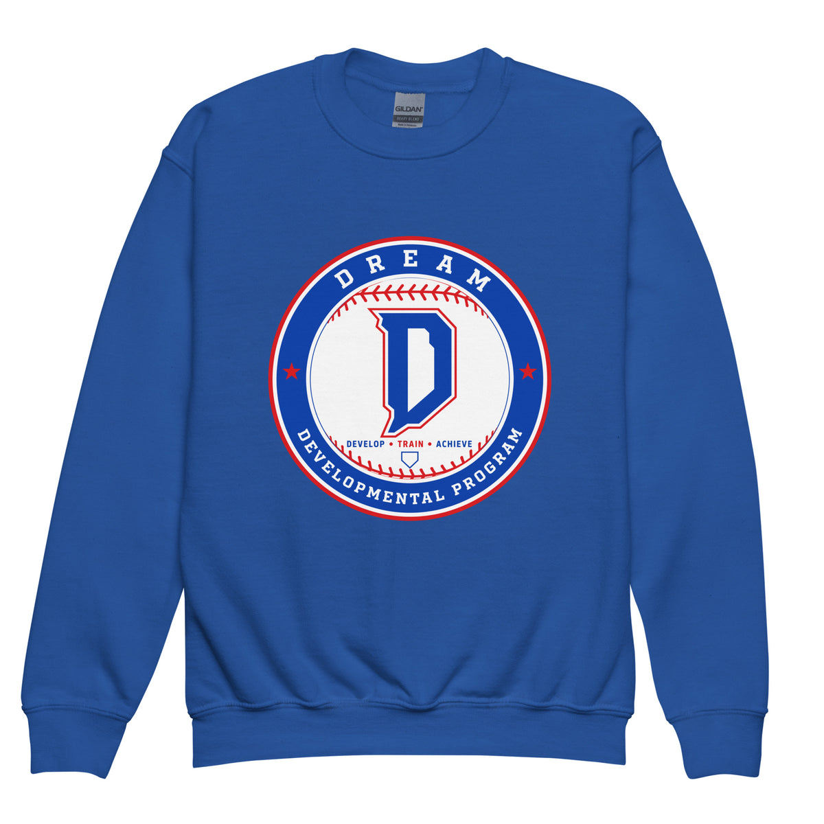 Classic | Youth Sweatshirt | Dream Developmental Program | Badge Logo