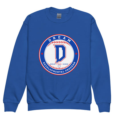 Classic | Youth Sweatshirt | Dream Developmental Program | Badge Logo