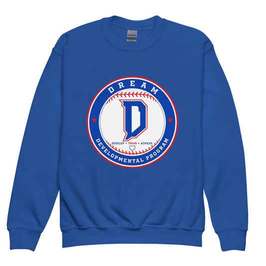 Classic | Youth Sweatshirt | Dream Developmental Program | Badge Logo