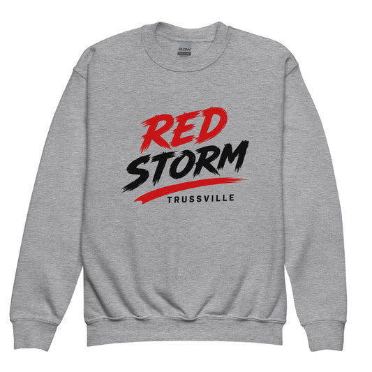 Classic | Youth Sweatshirt | Red Storm | Modern Script Logo