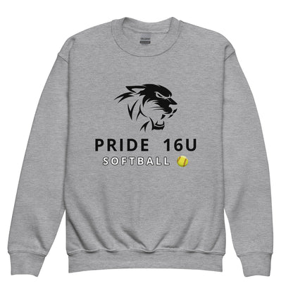 Classic | Youth Sweatshirt | NNY Pride Softball | Emblem Logo