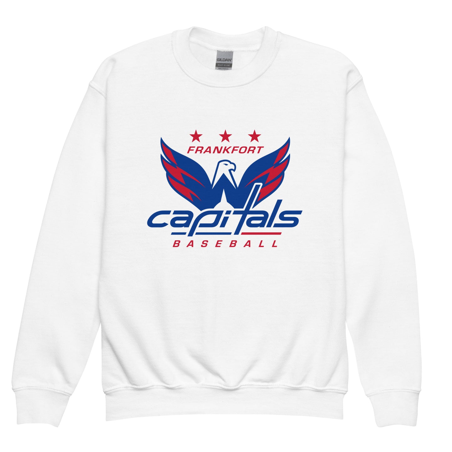 Classic | Youth Sweatshirt | FFYSA | Crest Logo
