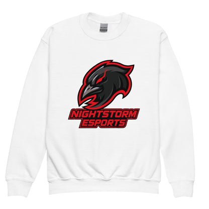 Classic | Youth Sweatshirt | NightStorm Esports | Crest Logo