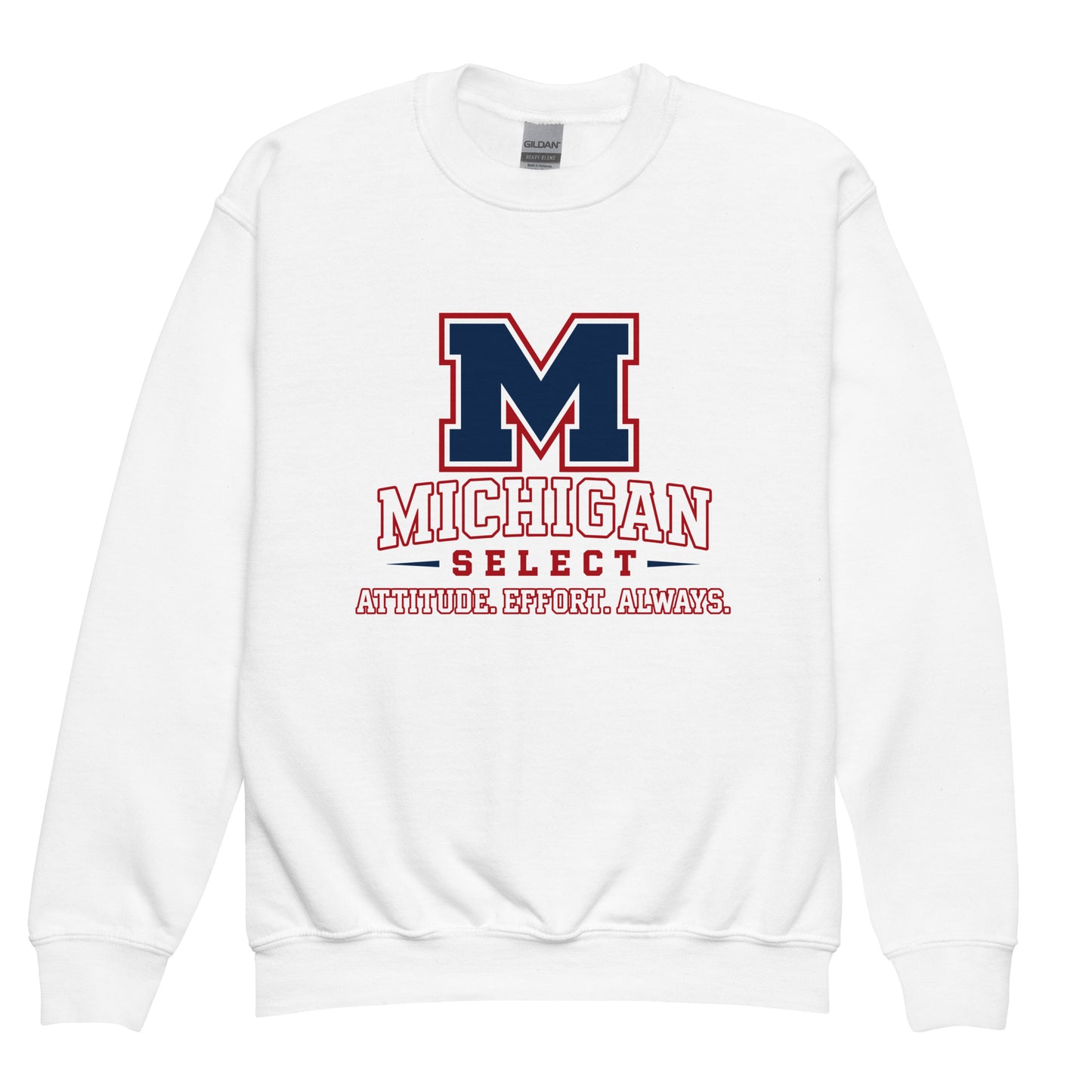 Classic | Youth Sweatshirt | Michigan Select Baseball | Crest Logo