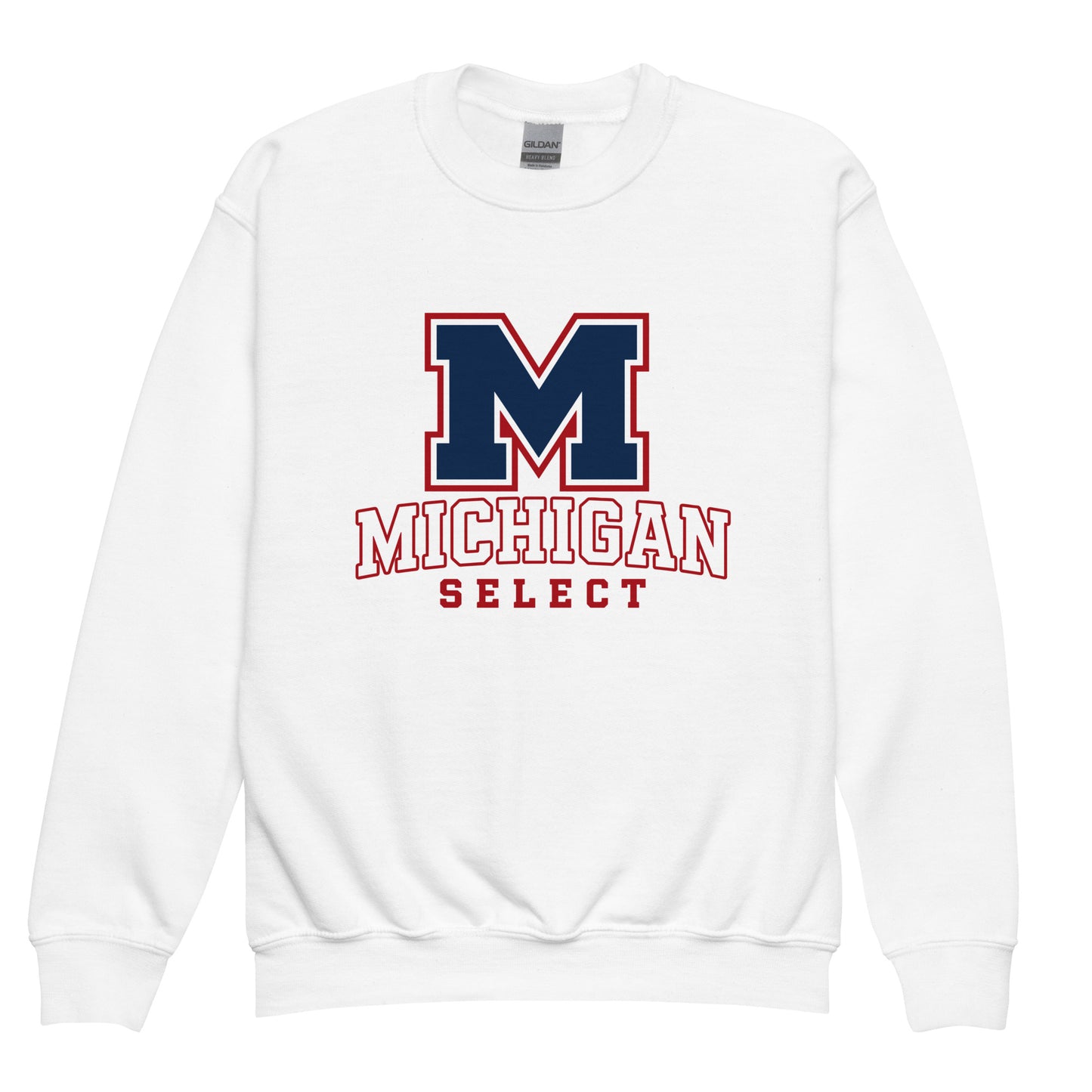 Classic | Youth Sweatshirt | Michigan Select Baseball | Emblem Logo
