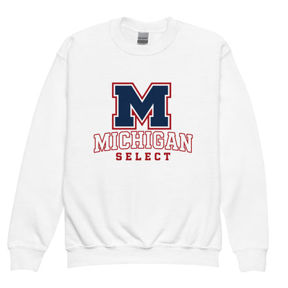 Classic | Youth Sweatshirt | Michigan Select Baseball | Emblem Logo