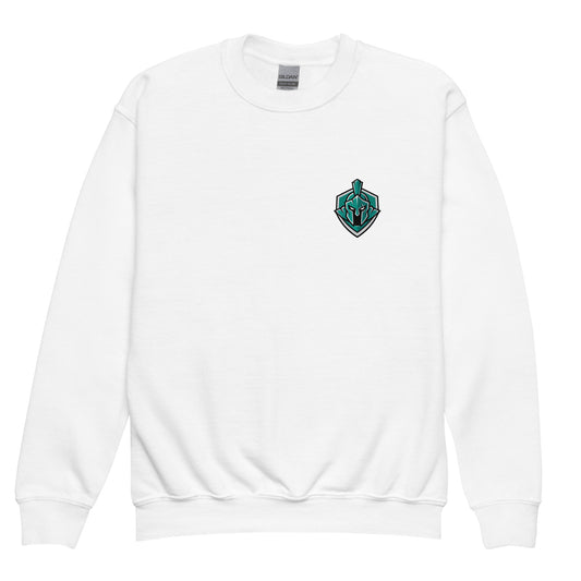 Classic | Youth Sweatshirt | Community Christian College | Crest Logo