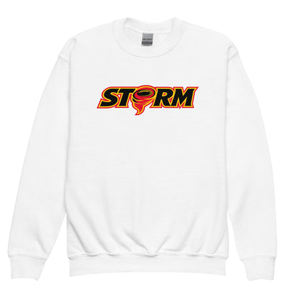 Classic | Youth Sweatshirt | Storm Baseball Team | Crest Logo