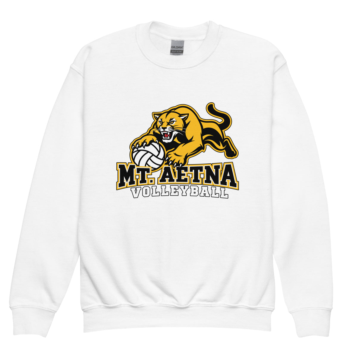 Classic | Youth Sweatshirt | Mt. Aetna Adventist School | Volleyball Apex Logo