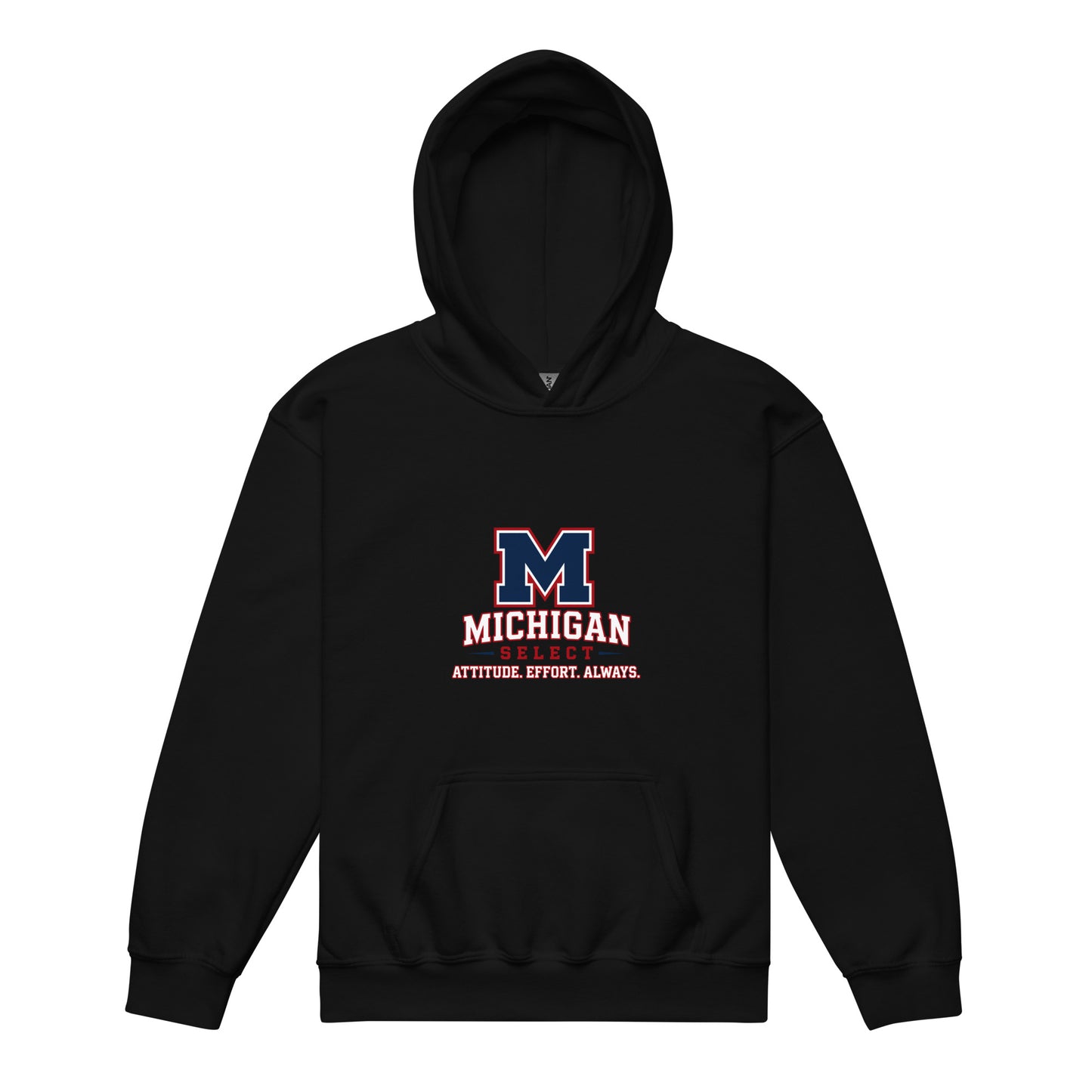 Classic | Youth Hoodie | Michigan Select Baseball | Crest Logo